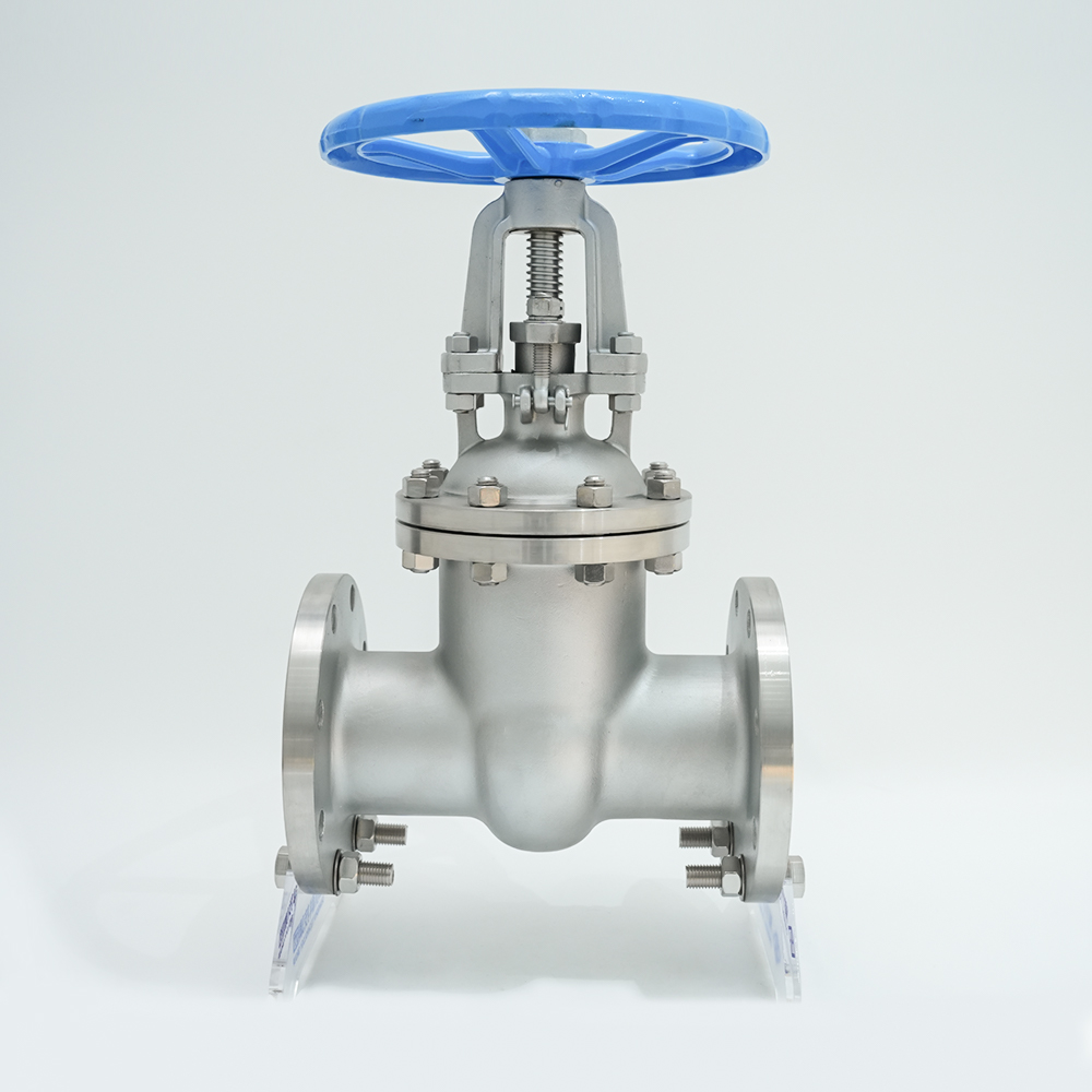 Válvula de gaveta flangeada de aço inoxidável Z41W-16P