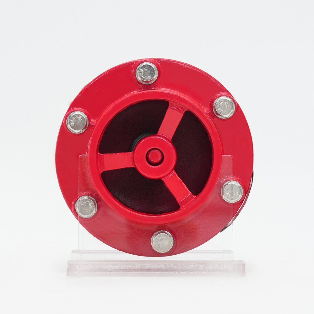 Válvula de retenção do silenciador ranhurado GHC41X-16Q