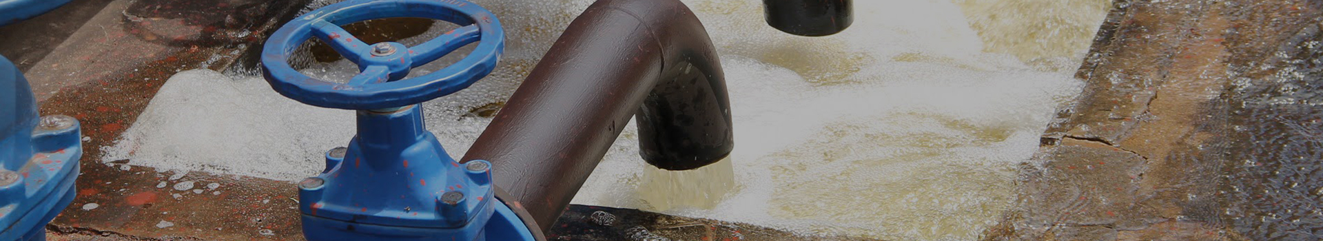 Grupo de tecnologia Changshui Co., Ltd.