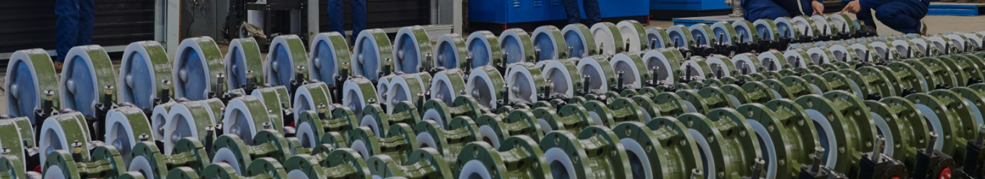 Grupo de tecnologia Changshui Co., Ltd.